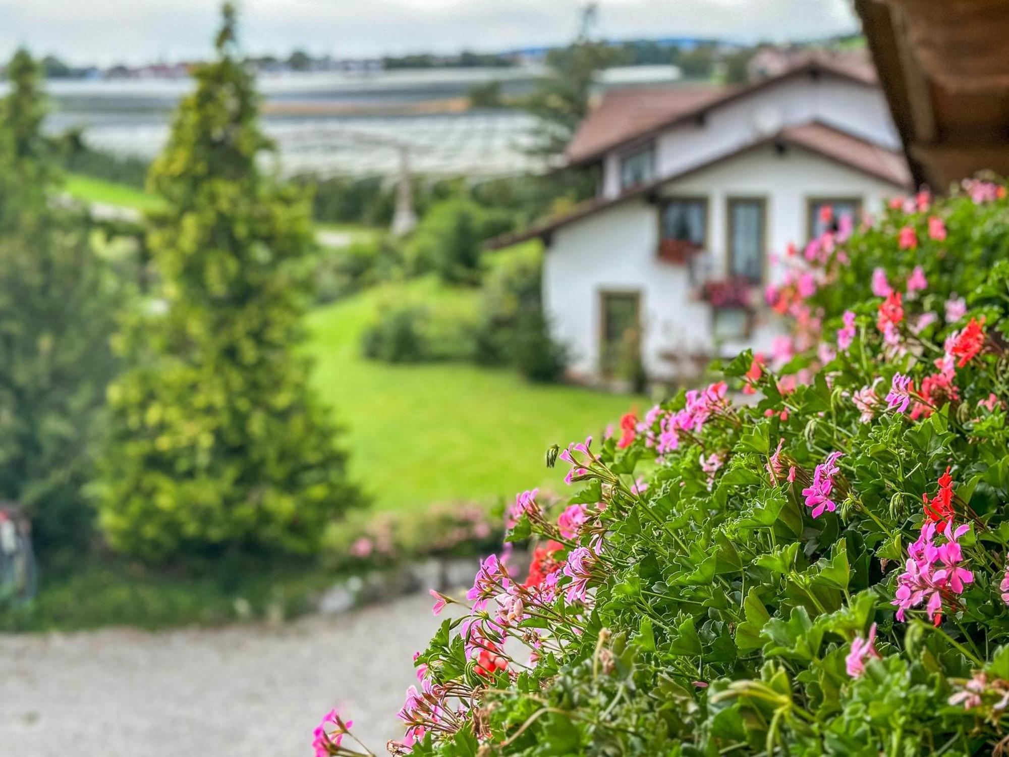 Gerbehof Hotel Friedrichshafen Ngoại thất bức ảnh